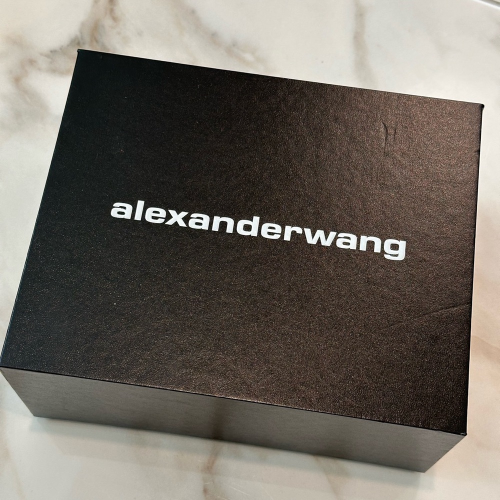 Alexander Wang empty shoe or storage box